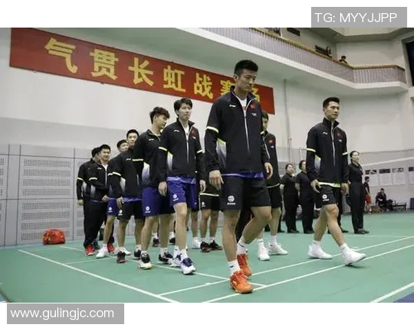 南京羽毛球队与杭州羽毛球队速度对比分析赛后复盘