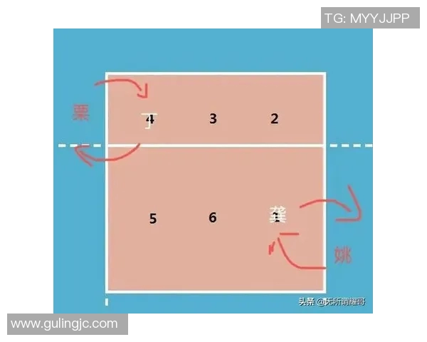 广州排球队配合战术深度解析与对比分析