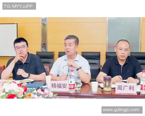 杭州羽毛球队运营分析:成功经验与面临挑战的全面探讨 杭州羽毛球队运营分析:成功经验与面临挑战的全面探讨