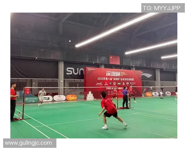 深圳羽毛球队中路突破的成功与不足分析 深圳羽毛球队中路突破的成功与不足分析