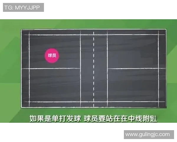 羽毛球防守艺术：深入解析杭州羽毛球队的战术与技巧