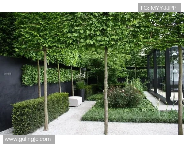 足球明星家庭花园设计灵感探索打造绿意盎然的梦想空间 足球明星家庭花园设计灵感探索打造绿意盎然的梦想空间