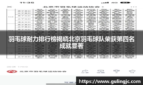 羽毛球耐力排行榜揭晓北京羽毛球队荣获第四名成就显著