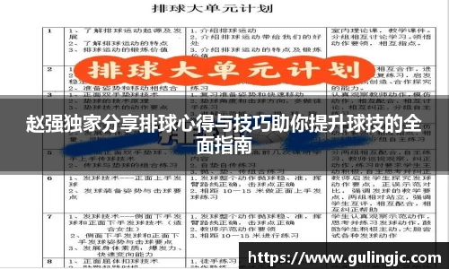 赵强独家分享排球心得与技巧助你提升球技的全面指南
